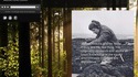 Ecoutez le monde sauvage