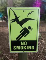 je sais pas ce ki faut pas fumer