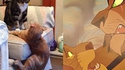 Remake du roi lion