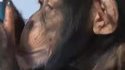 Quand Phil cherche un post