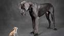 Une rencontre : Pearl et Reginald