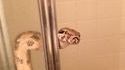 Occupé !