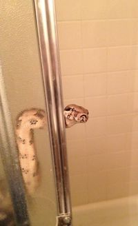 Occupé !