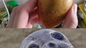 Hé patate !
