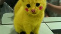Pikachat