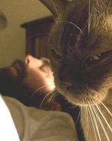 Humain trop confiant... Soon... Soon... Soon...