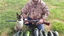 Magnifique tableau de chasse pour un con...combre...