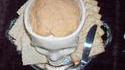 Assiette creuse