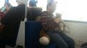 Spécimen dans le bus