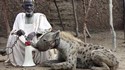 Animal de compagnie