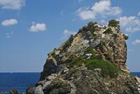 T'as pas intérêt à oublier le sel (ou ton TéléZ, ou toute autre peccadille...)