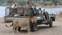 Safari en toute sécurité