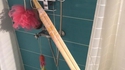 Comme un guérrier sous la douche