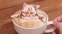 Cat puccino 