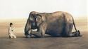 L'éléphant et l'enfant