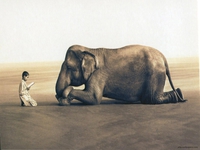 L'éléphant et l'enfant