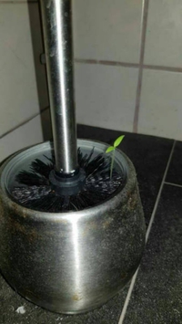 La vie trouve toujours un chemin 2