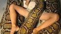 Copain serpent