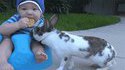 Bébé et lapin