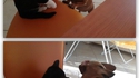 Comme chat et chien 32