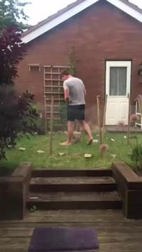 À la poursuite de lapereau