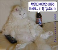 Gros pacha