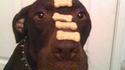 Self control