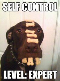 Self control