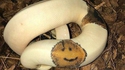 Sourire