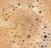 La tête dans le café 