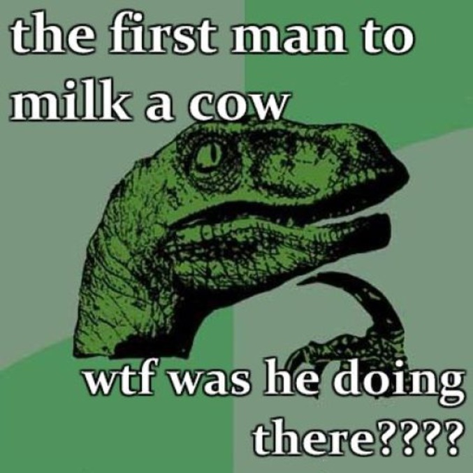 L'homme qui a découvert que la vache avait du lait, à quoi pensait-il ?