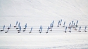 Le ski