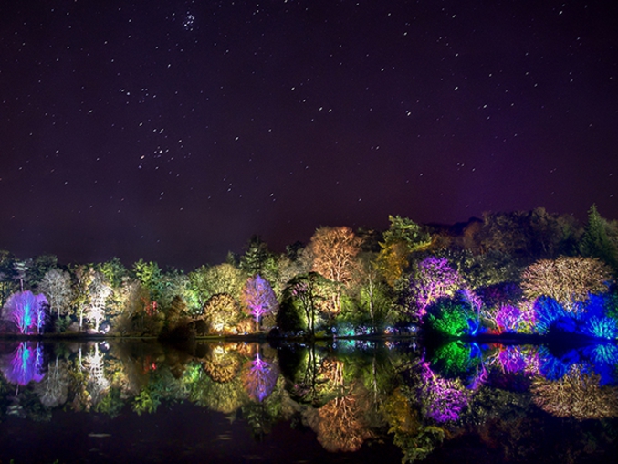 Un jeu d'ombres et de lumières dans les arbres des Mont Stewart Gardens, County Down, Irlande du Nord. A visiter.