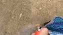 Bientôt Pâques : Neeeeeeed !!!