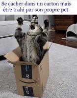 Il a tenu tant qu’il a pu. 