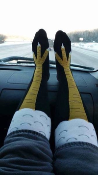 Des jambes de poulette