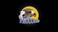 Les Faucons, AKA la série la plus nulle