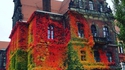 Une maison, une vigne