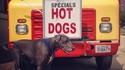 Special hot dogs