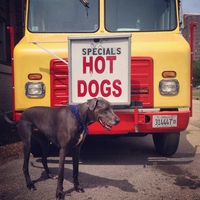 Special hot dogs