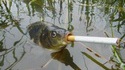 Boisson-clope