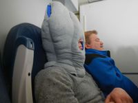Dans l'avion