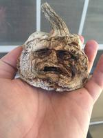 Halloween dans quelques jours ... 