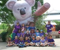 Souvenir du parc à koala