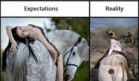 Pose à cheval