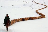 Politicien dirigeant ses militants