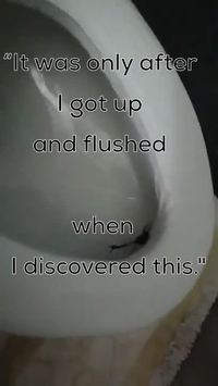 Kan tu réalises sur quoi tu étais assise tranquilement