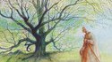 L'homme qui plantait des arbres (Jean Giono)