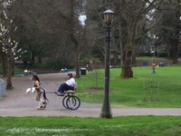 Promenade au parc