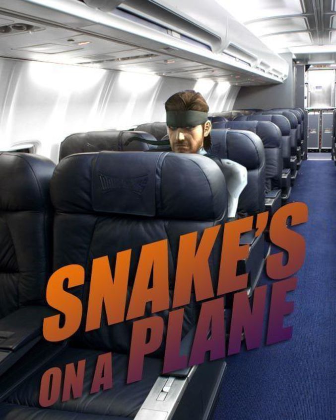 Il y a un snake dans l'avion !
